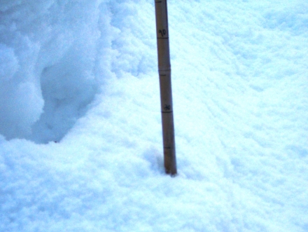 2010.1.25.積雪1741.JPG