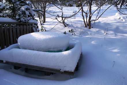 2012.12.2大雪1web.JPG