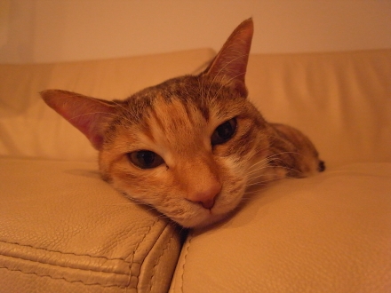R1033056.JPG