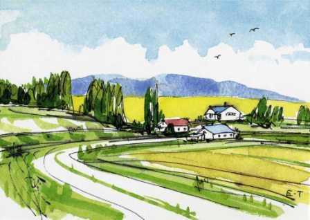 榎木孝明水彩画草もえ時北海道美瑛新品