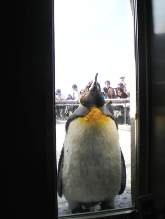 ペンギン2009.5.4.jpg